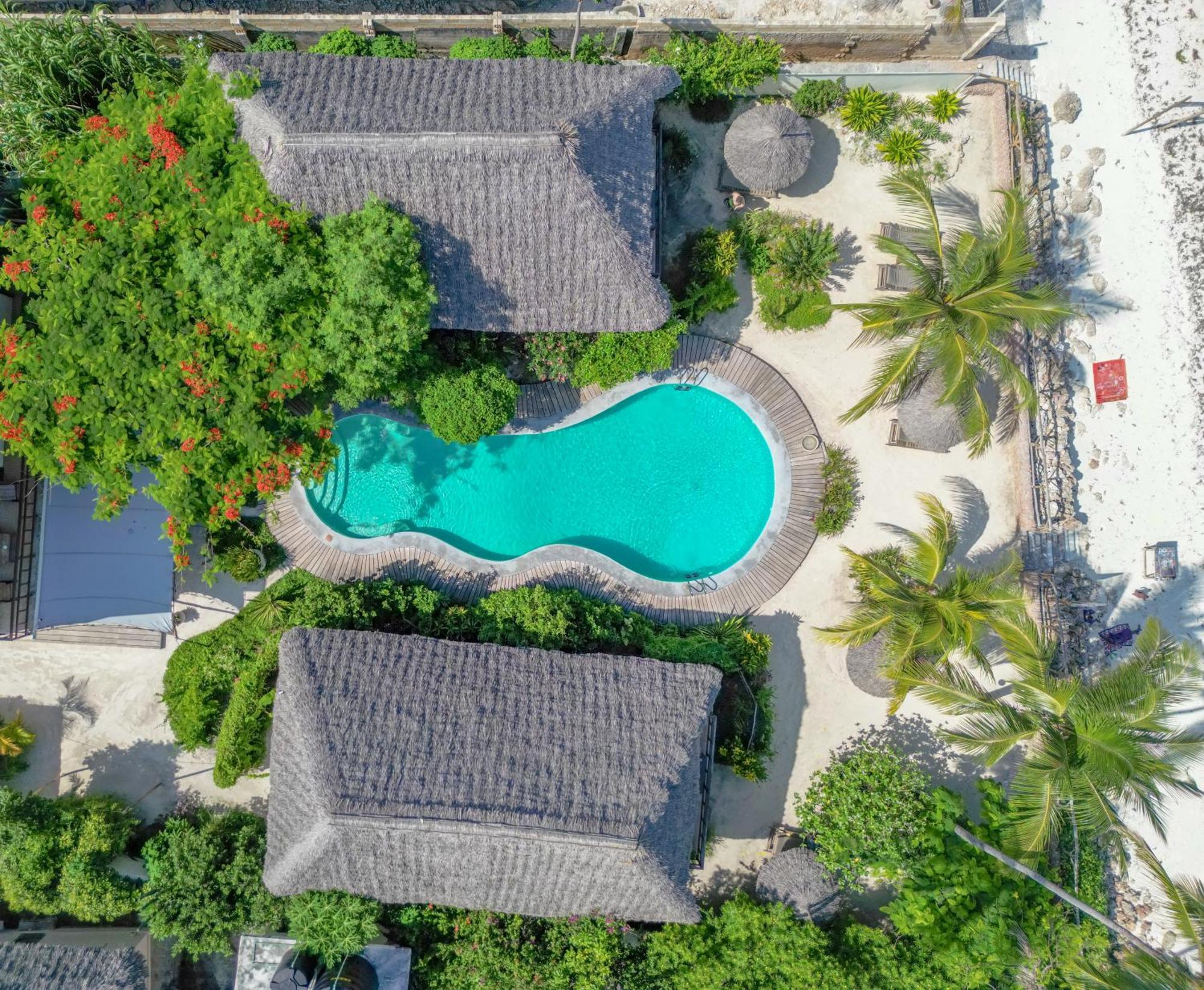 Jambiani Villas Ngoại thất bức ảnh